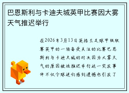 巴恩斯利与卡迪夫城英甲比赛因大雾天气推迟举行
