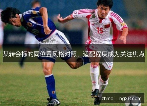 某转会标的同位置风格对照,适配程度成为关注焦点 某转会标的同位置风格对照,适配程度成为关注焦点